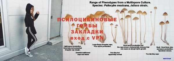 прущая мука Богородск